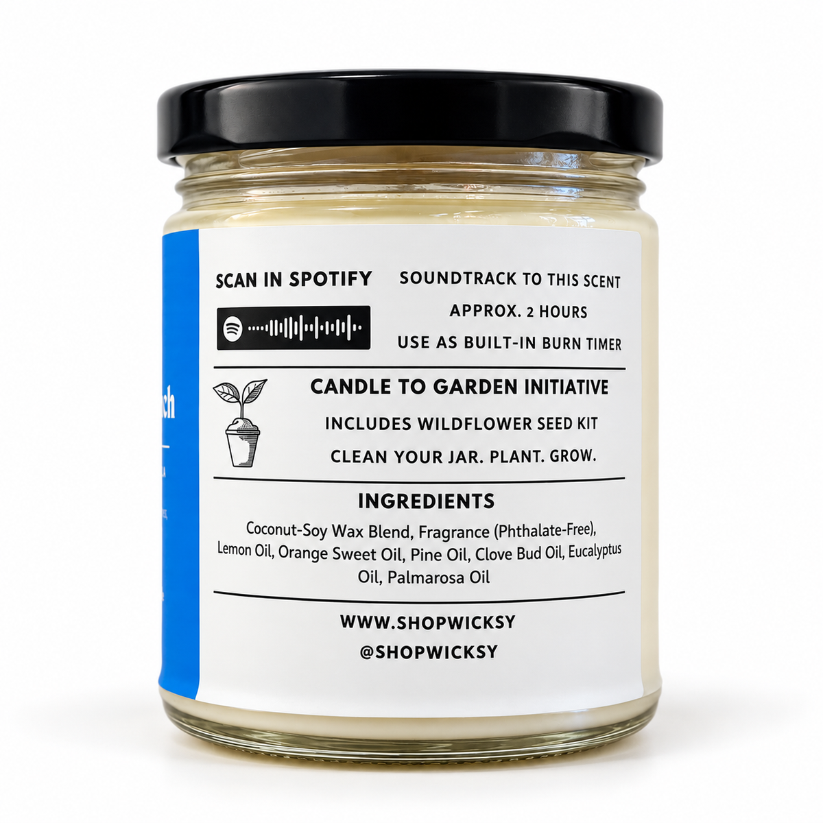 Blueberry Brunch Candle